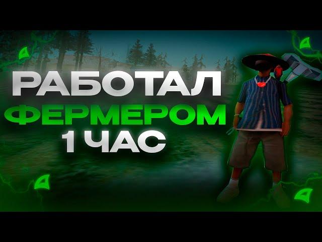 РАБОТАЛ 1 ЧАС НА ФЕРМЕ ЛЬНА И ХЛОПКА! ТОП ЗАРАБОТОК НА ARIZONA RP!