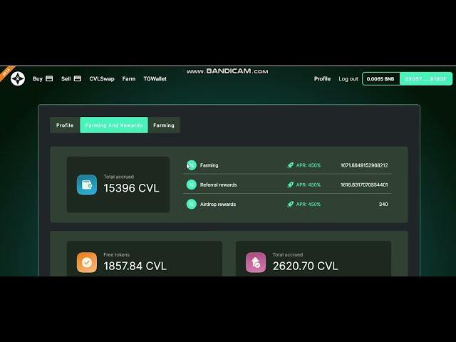 CVL Network Что с проектом  Мысли по данной ситуации️