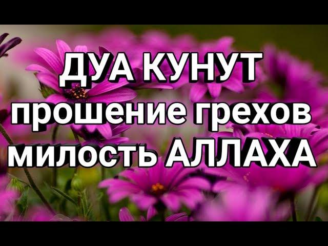 Красивое чтение Дуа Кунут, Мольба к АЛЛАХУ  DUA KUNUT