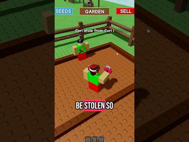 Stealing ANY fruit in Grow A Garden #roblox #robloxedit #robloxgames #growagarden