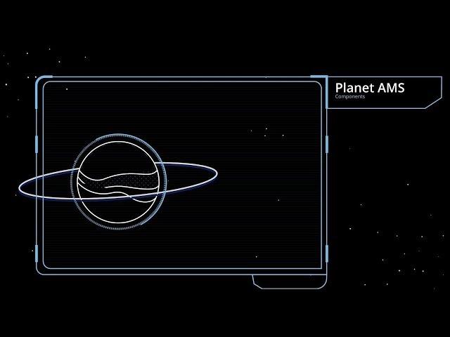 Deloitte Application Management Services