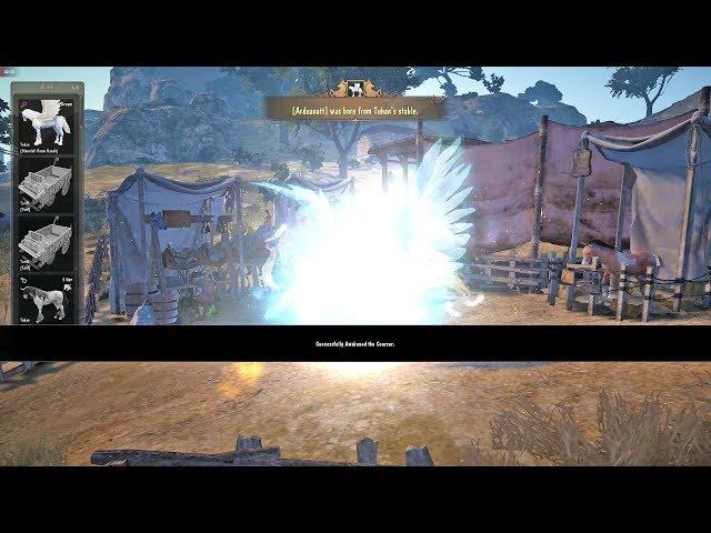 Easy T9 Pegasus Awakening Attempt Black Desert Online