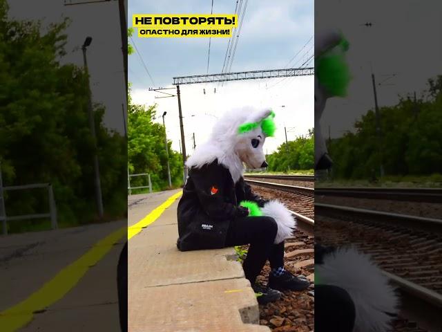 Не повторять! Опастно для жизни! #grinya #furry #kurgan #гриня #фурри #курган #antifurry #антифурри