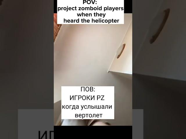 Project Zomboid - status #project #zomboid #memes#мем