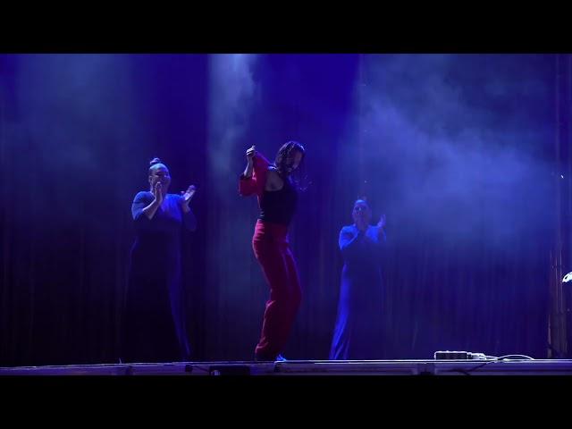 Eduardo Guerrero en la Gala de Estrellas del Flamenco en la Plaza Mayor de Madrid