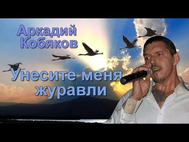 Аркадий Кобяков Унесите меня журавли ( очень душевно...красотище)