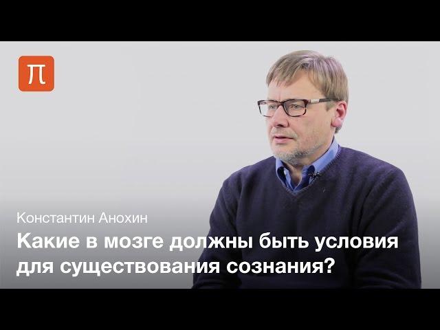 Проблема сознания и мозга — Константин Анохин