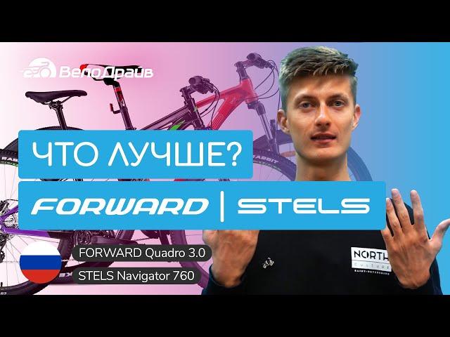 STELS против FORWARD | Что выбрать?