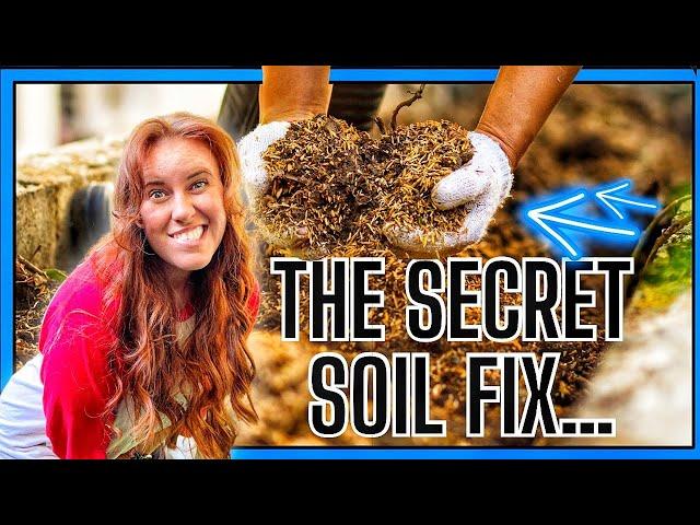 2 New Garden Soil Amendments That Science Is Investigating.!