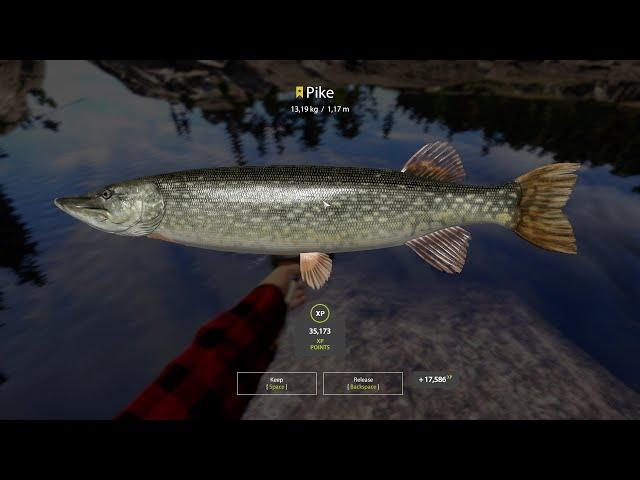 Russian Fishing 4 - Pike Trophy 13,19 kg - Ladoga Lake