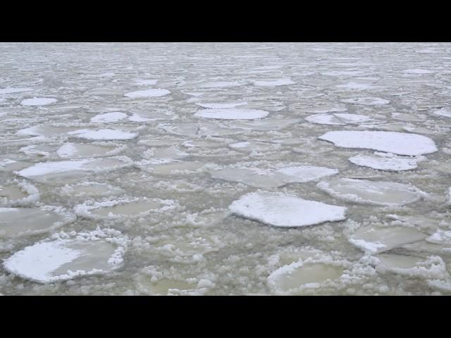 Fascinating ice balls and rings return to Lake Michigan channel