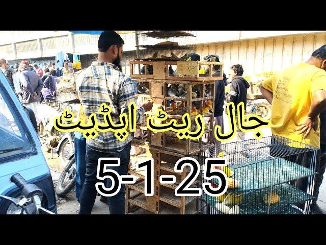 Pakistan Biggest Birds Market  Lalukhet Jaal Update 5-1-25 By Sohail Ahmed TV