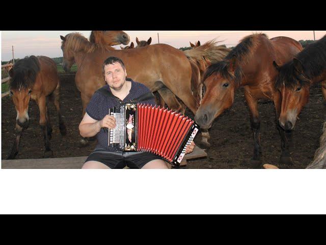 Любэ - Конь на гармони)))