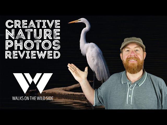 Reviewing your creative nature photos