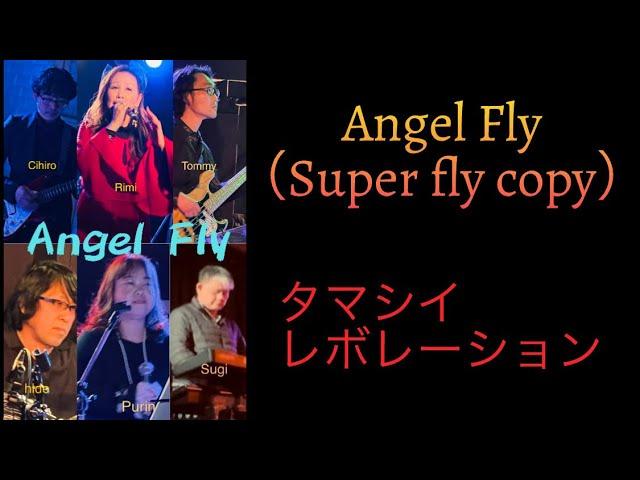 Angel Fly（Superfly cover ）タマシイレボリューション