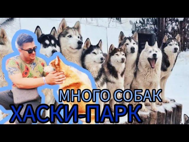 Хаски-парк на Красной поляне в Сочи