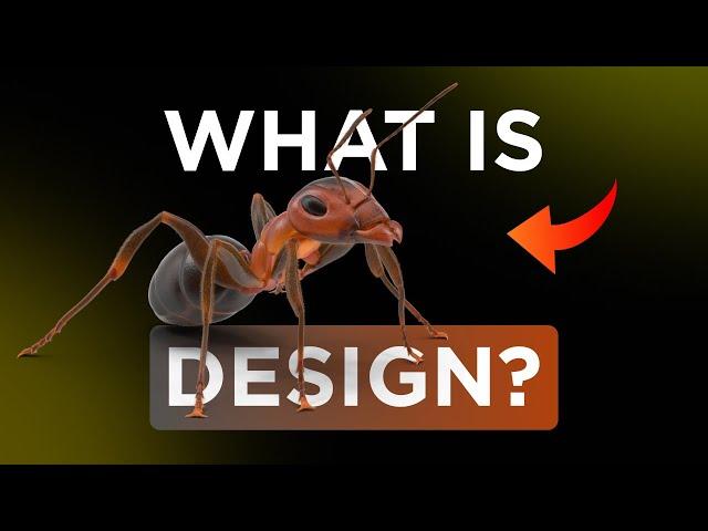 ANT Design explained: the principles and features...