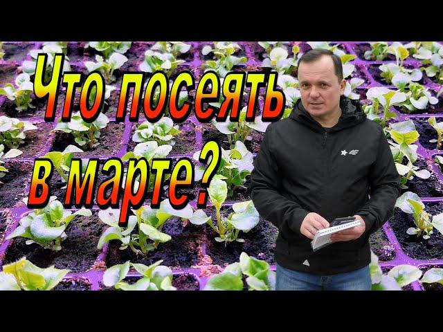 Что нужно посеять в марте? Минимальный набор.