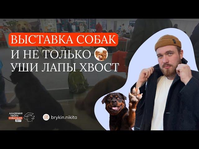 Выставка собак и не только. Уши Лапы Хвост