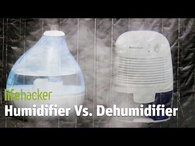 Humidifier VS. Dehumidifier