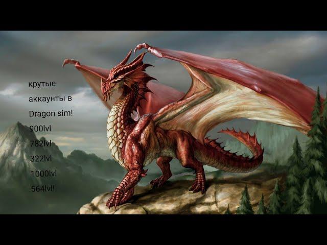 5 КРУТЫХ АККАУНТОВ В Dragon sim.СКОРЕЕ!!!(Ч.О)!!!!