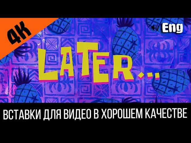 #3 Later / Позже | SpongeBob Timecard | Вставка для видео | Insert for video