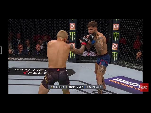 Fight Night Brooklyn Free Fight : TJ Dillashaw VS Cody Garbrandt