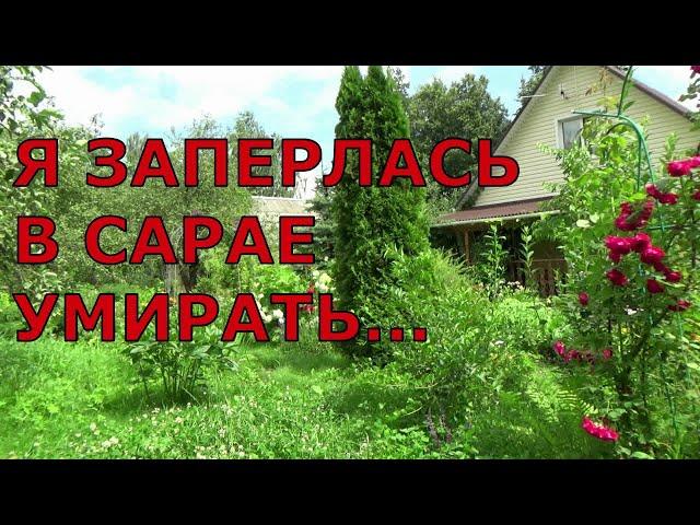 Я заперлась в сарае умирать... Очнулась в поезде, мчащемся в Москву