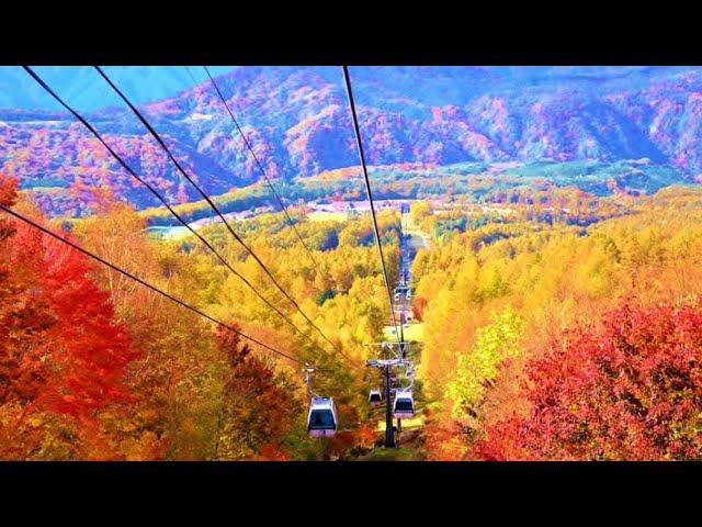 Hunter Mountain scenic Sky ride/Hunter Mountain Skyride | Catskills, New York