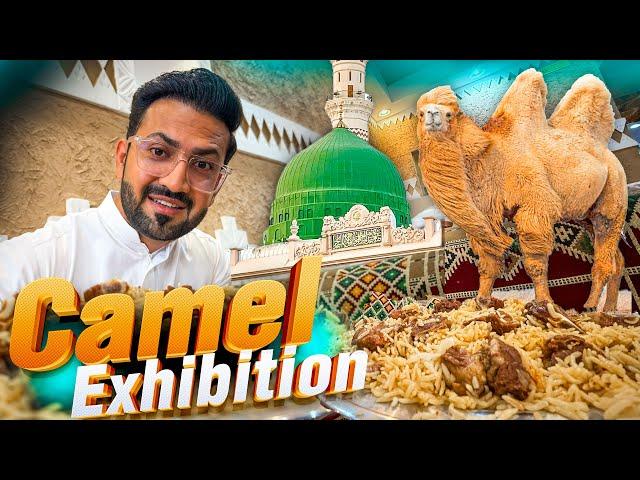 Going to Madina | Camel Exibition And Camel Meat Dish