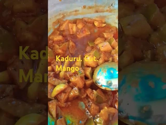 kadura##cut. mango##food shorts. 