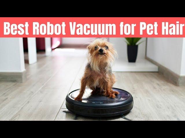 The Best Robot Vacuums for Pet Hair