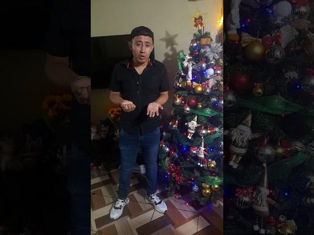 Feliz Navidad  y Feliz año 