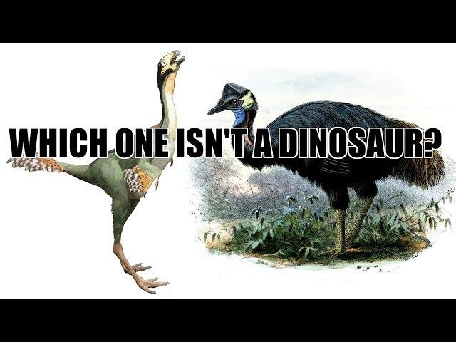 Are Birds Dinosaurs  A Debate with Kent Hovind (Audio Remaster)