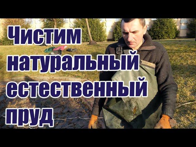 Чистим натуральный естественный пруд