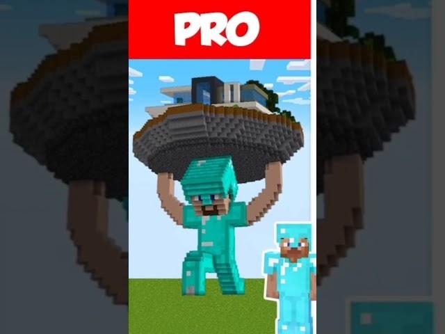 Minecraft NOOB vs PRO vs HACKER: STATUE HOUSE BUILD CHALLENGE in Minecraft / Animation