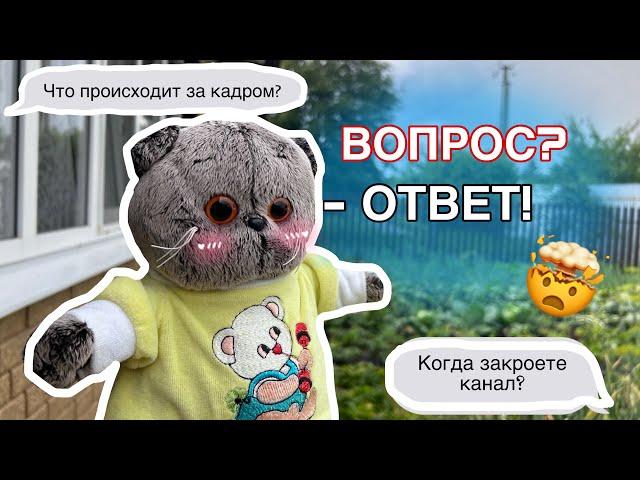 ВОПРОС-ОТВЕТ С БАСИКАМИ | что происходит за кадром | озвучка