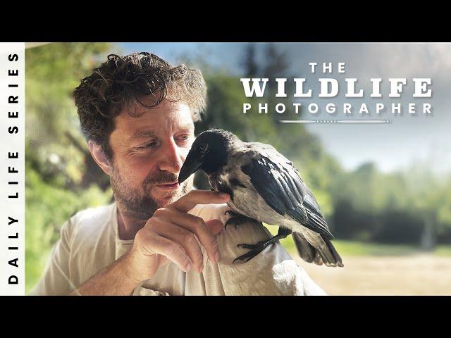 Bird Photography and Saving a Baby Crow