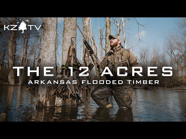 Mallards In The Flooded Timber!! (Arkansas Deadwood Hunt) K Zone TV: "The 12 Acres"