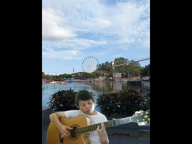 Autumn In Melbourne #viralsong #guitarfingerstyle #guitar #guitarist #accousticguitar #viral