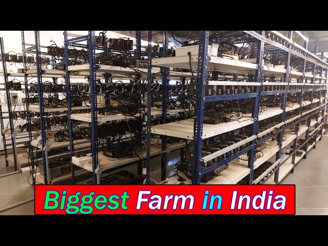 Biggest Mining Farm in India || Harsh Gupta, Sachin & Aditya Bhati || [Hindi].