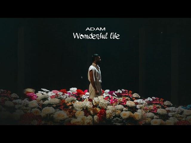 Adam | Wonderful life | Премьера 2024