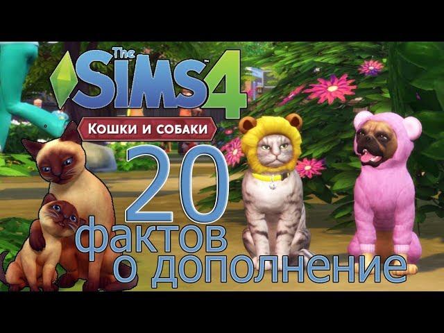 TS4l20 ФАКТОВ О ДОПОЛНЕНИИ "КОШКИ И СОБАКИ"