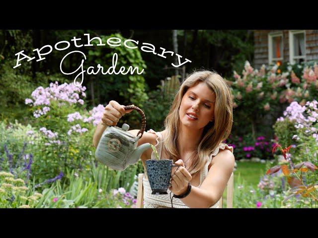 How to Start an Apothecary Garden for Beginners- Growing Your Own Medicine