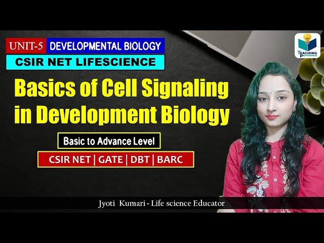 Basics Of Cell Signaling in Development || CSIR NET 2024 || Development Biology