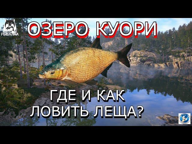 ОЗЕРО КУОРИЛЕЩРусская Рыбалка 4(РР4)