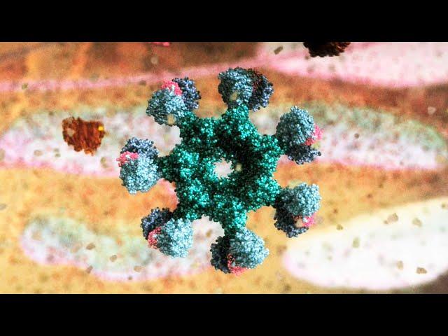 Apoptosis 4K (2006) by Drew Berry wehi.tv, sound design Franc Tétaz