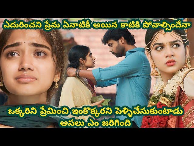 Joe Full Movie Explained In Telugu | Gambler Rn