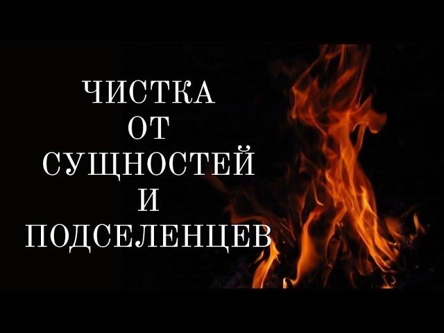 ЧИСТКА ОТ СУЩНОСТЕЙ, БЕСОВ, ЛЯРВ, ПОДСЕЛЕНЦЕВ, сосущих вашу жизненную энергию.