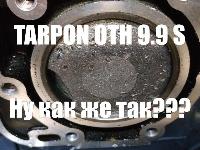 Ну что же ты, TARPON ! ! !